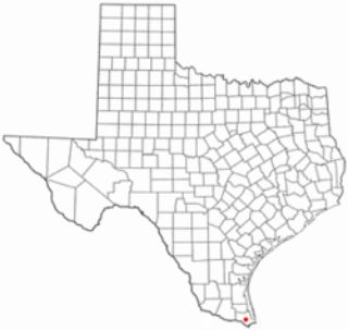 Mold Inspection Los Fresnos Texas